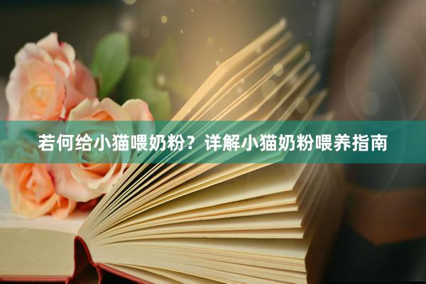 若何给小猫喂奶粉？详解小猫奶粉喂养指南