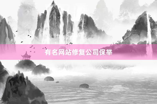 有名网站修复公司保举