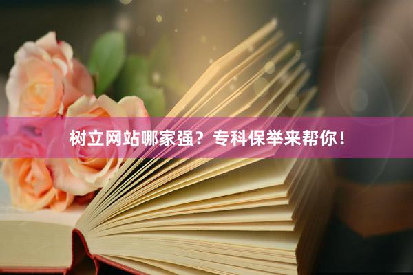 树立网站哪家强？专科保举来帮你！