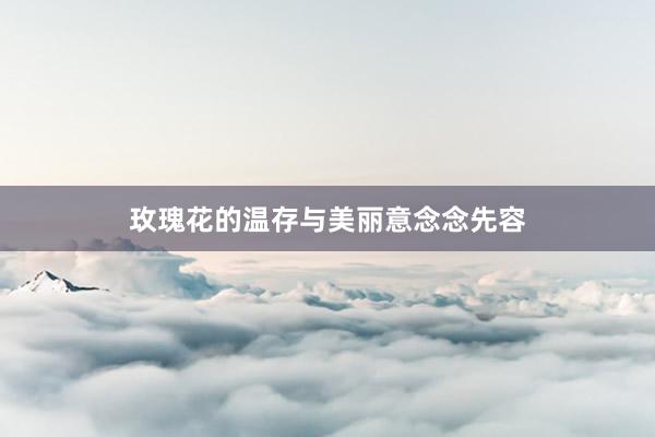 玫瑰花的温存与美丽意念念先容