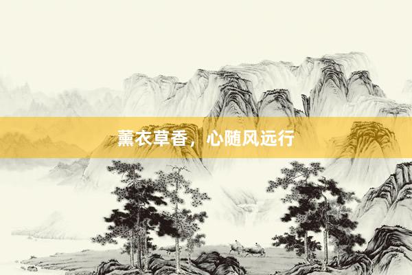 薰衣草香，心随风远行