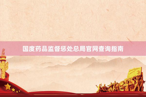 国度药品监督惩处总局官网查询指南